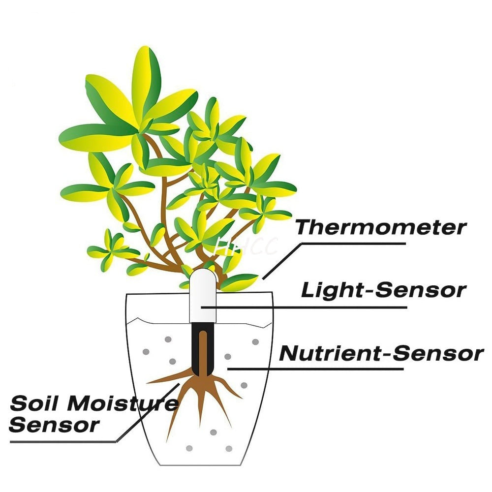 Flora Monitor